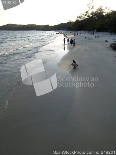 Image of Tropical beach at sunset