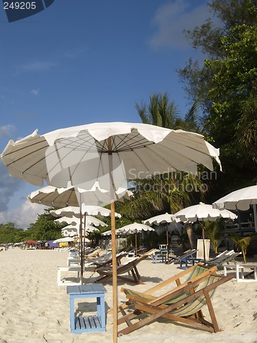 Image of Chairs and parasols on the beach