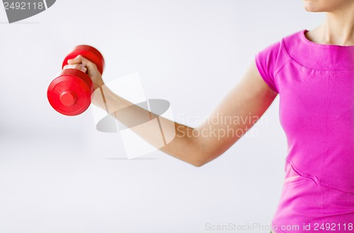 Image of sporty woman hands with light red dumbbells