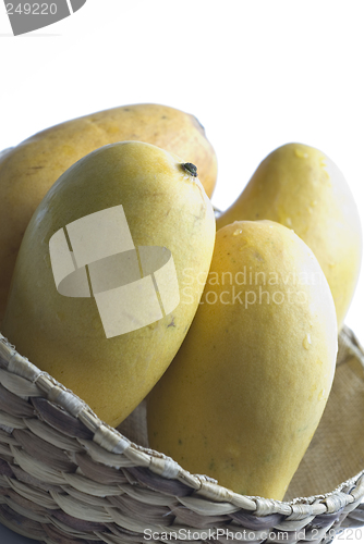 Image of atauflo champagne mangos