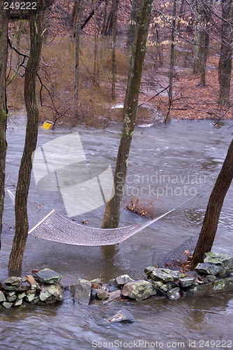 Image of flooded backyard of suburban house