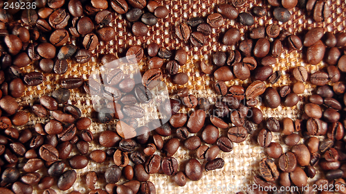Image of Coffee beans 02