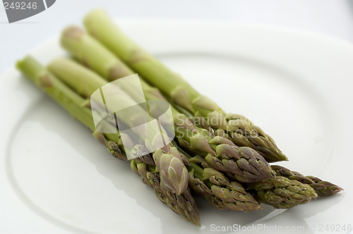 Image of asparagus