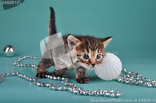 Image of small  kitten among Christmas stuff