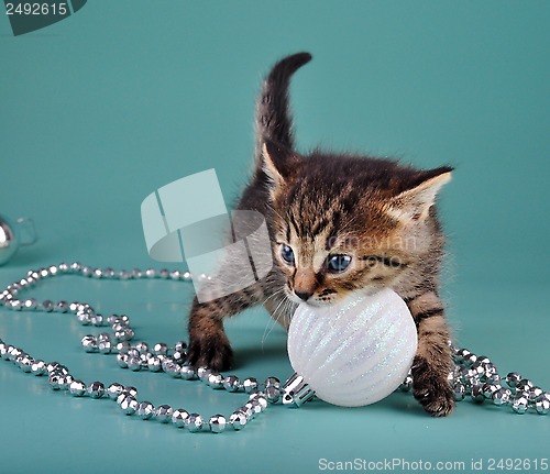 Image of cute little kitten with white Christmas ball