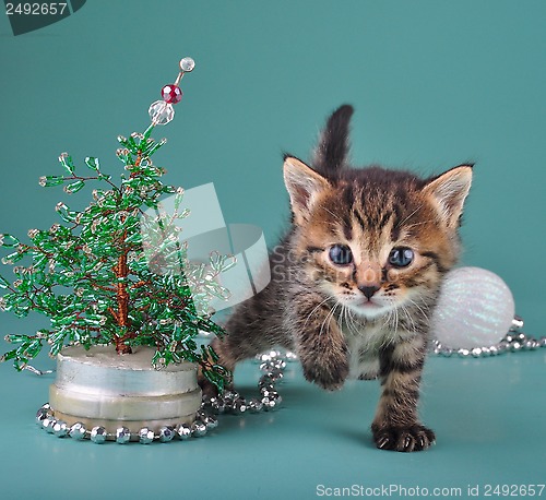 Image of small  kitten among Christmas stuff