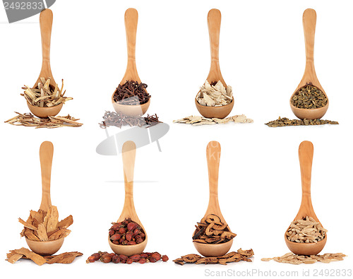 Image of Chinese Herbal Medicine