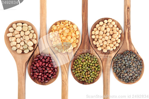 Image of Dried Pulses