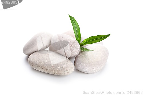 Image of heap of stones and green leaves 