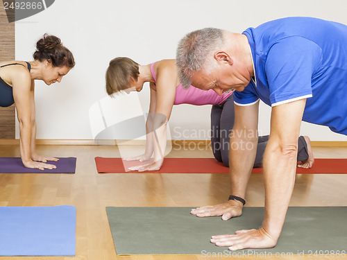 Image of Yoga Exercise