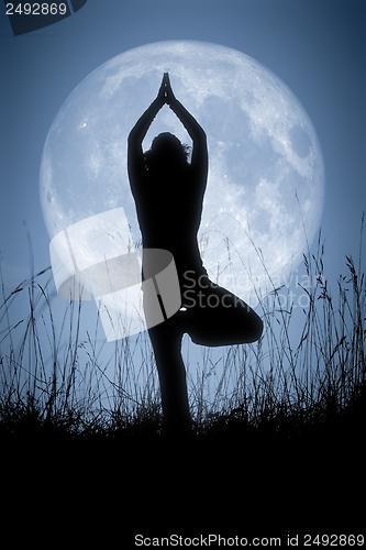 Image of yoga pale moon