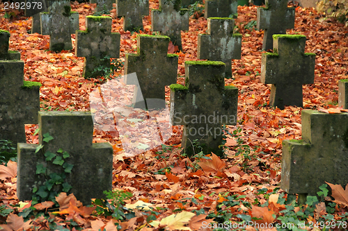 Image of autumn graveyard