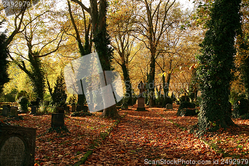 Image of idyllic autumn graveyard