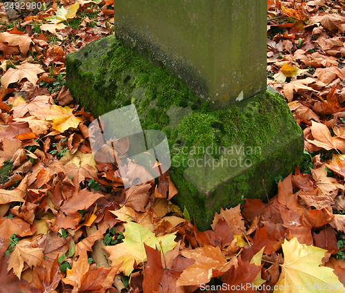 Image of autumn graveyard