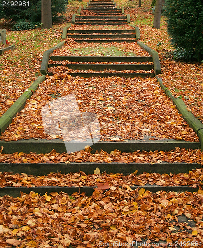 Image of autumn graveyard