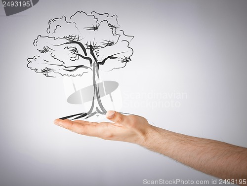 Image of man with small tree in his hand