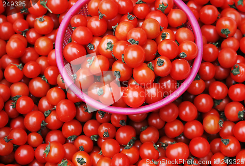 Image of Tomatoes