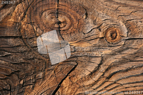 Image of Wooden background texture