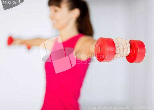 Image of sporty woman hands with light red dumbbells