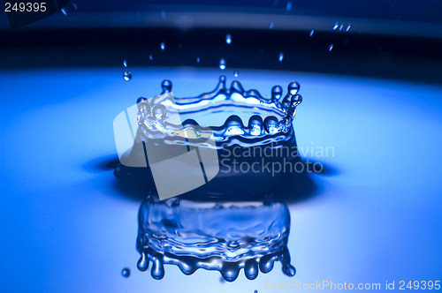 Image of drop