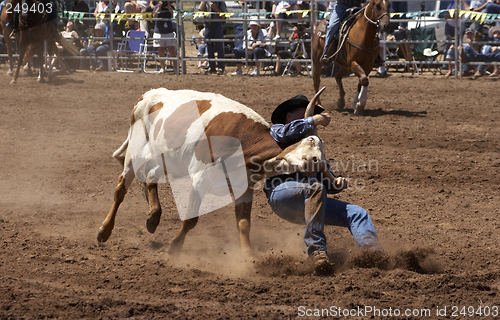 Image of Steer Wrestling