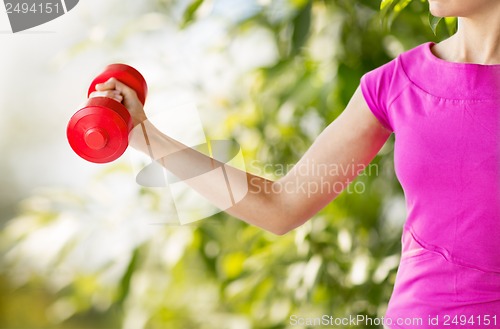 Image of sporty woman hands with light red dumbbells