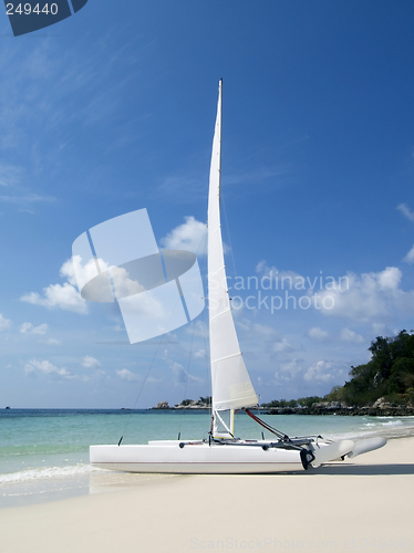 Image of Catamaran on the beach