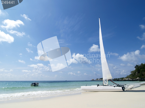 Image of Catamaran on the beach