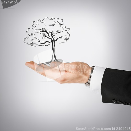 Image of man with small tree in his hand