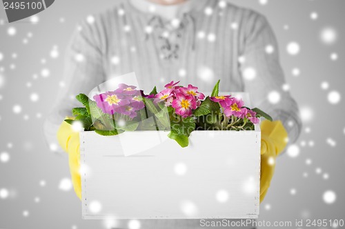 Image of man holding big pot with flowers