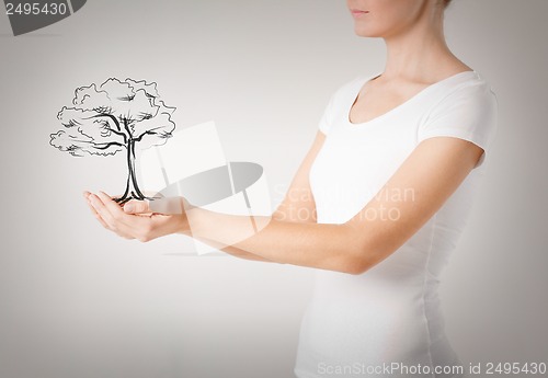 Image of woman with small tree in her hands