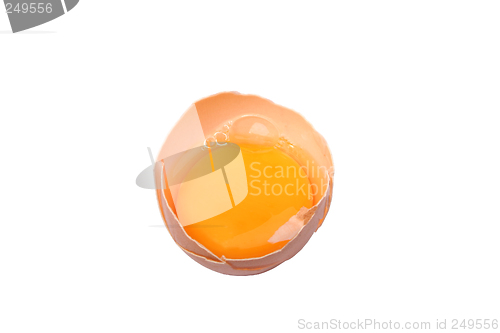 Image of Egg