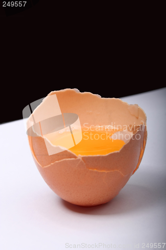 Image of Egg