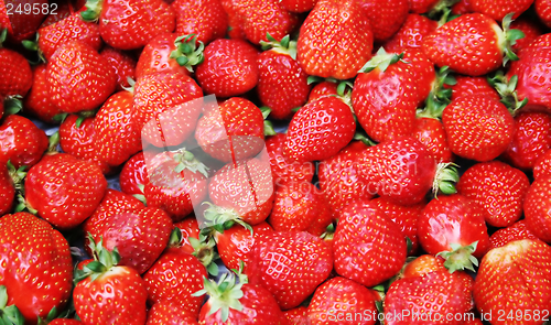 Image of Strawberries