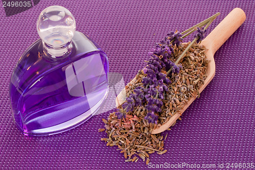 Image of Dried lavender blossoms