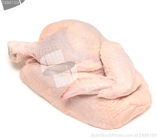Image of chicken 