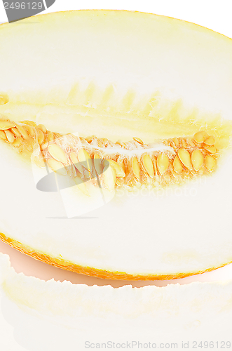 Image of Cantaloupe Melon