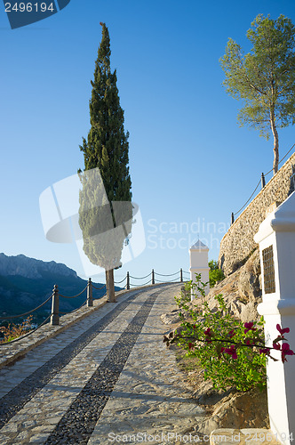 Image of Via crucis