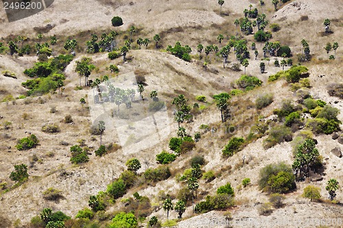 Image of Komodo Island