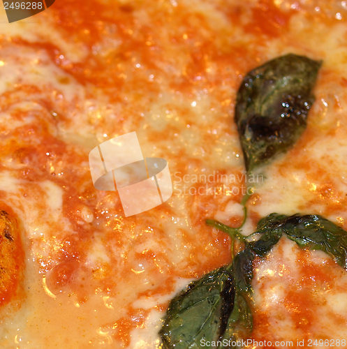 Image of Pizza Margherita