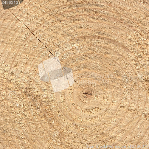Image of Wood rings