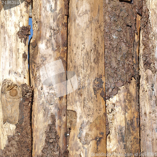 Image of Wood picture