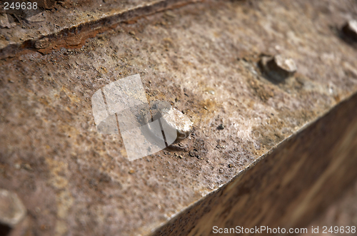 Image of Rusty nuts