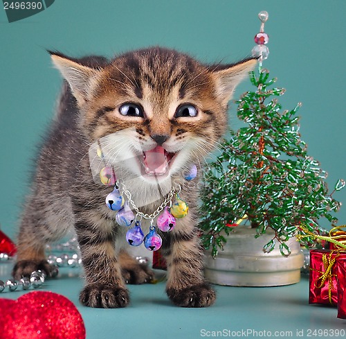 Image of small  kitten among Christmas stuff