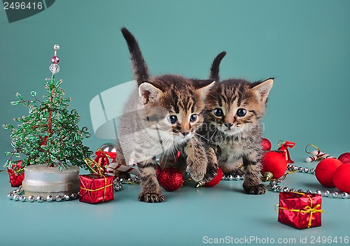 Image of small  kittens among Christmas stuff