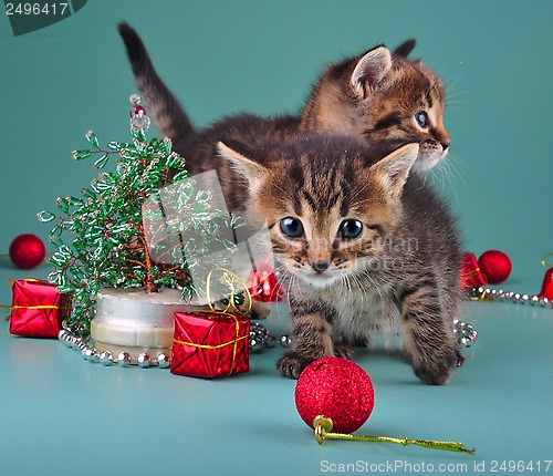 Image of funny little kittens with handmade Christmas tree and balls