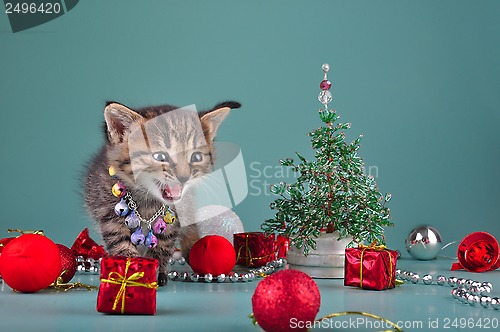 Image of small  kitten among Christmas stuff