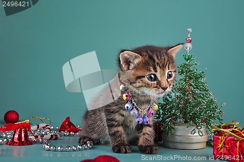 Image of small  kitten among Christmas stuff