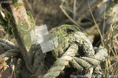 Image of Old rope