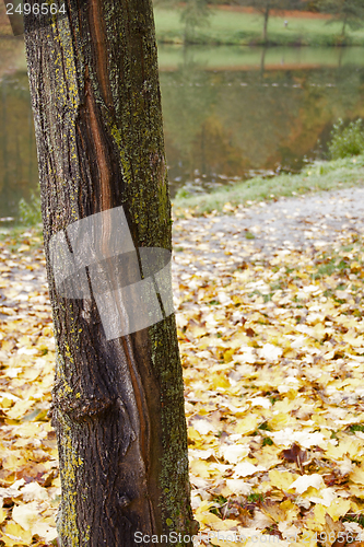 Image of autumn scenery